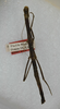 CollectionObject 1559387; f710804b-5bd8-40d0-8f0d-f6c441cf5742: copyright ANSP. female (holotype). (CollectionObject).