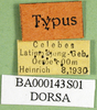 CollectionObject 1501625; 769338a9-324a-4164-b4a5-509c05acb34c, DORSA BA000143S01: labels (holotype). (CollectionObject).