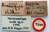 labels (holotype). Depicts CollectionObject 1517414; 12424212-d4f1-4e02-8e17-da6479b95fdf, a CollectionObject.
