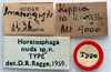 CollectionObject 1517414; 12424212-d4f1-4e02-8e17-da6479b95fdf: labels (holotype). (CollectionObject).