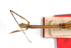 CollectionObject 1559005; e9311385-f2ab-4648-a671-051c73318aff: copyright MNCH, Madrid. female: head & thorax, dorsal view (holotype). (CollectionObject).