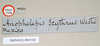 CollectionObject 1559190; 757e84e3-b278-4b57-80c7-bf8a63723ab9: copyright Natural History Museum, London. male, data labels (lectotype). (CollectionObject).