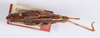 CollectionObject 1599086; 7cc7447f-0898-4a23-9edf-9de163111587: female, dorsal view (syntype). (CollectionObject).