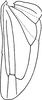 Hind wing: Hind wing. (Observation).