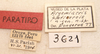 CollectionObject 1513711; f9e1075f-4dcf-486d-a6d2-59a14e256abc: Image Cigliano, M.M. labels (paratype). (CollectionObject).