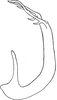 Aedeagus, lateral view on Eurhadina (Eurhadina) ribauti Wagner, 1935: Aedeagus, lateral view. (Observation).