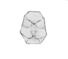 Bootettix argentatus Bruner, 1889: Pl. V, Fig. 23b. male, sternum. (Otu).