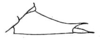 Conocephalus (Opeastylus) longipes (Redtenbacher, 1891): Pl. XXIII, Fig. 33. lateral outline of male subgenital plate. (Otu).