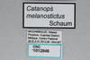 CollectionObject 2833364; 4e9b2e77-2c41-4956-97b1-d37f0f5a2093, CNCI 1012846: (CollectionObject).