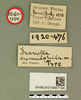 CollectionObject 1518674; e7223f37-8f08-4f96-96fe-f8aab6d48692, NHMUK014667194: labels (holotype). (CollectionObject).