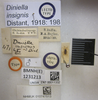 Diniella insignis Distant, 1918 now Diniella glabrata (Stål, 1874): Diniella insignis. Lectotype. (BMNH) - (CC BY-NC 4.0) Photo by Stuart Cole, reproduced with permission from the Natural History Museum, London, UK. (Otu).