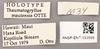CollectionObject 1523040; 53d1bafd-53ab-46a9-9b8e-df0e528e0bc2: Male, labels (holotype). (CollectionObject).