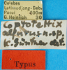 CollectionObject 1536153; 834951a4-98e7-40ca-bf45-81b5a82b88b5: labels. (CollectionObject).