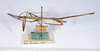 CollectionObject 1563201; 68aec9e6-a76b-4c05-ae4b-f9a91df1b166: copyright ANSP. female, lateral view (paratype). (CollectionObject).