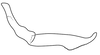 Stylus: !! display not done !! on Acuera (Acuera) incepta DeLong & Freytag, 1974: Male specimen [DZUP]: style, lateral view. (Observation).