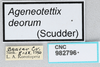 CollectionObject 2800385; CNCI 982796, 0c9610fa-f4b3-41a5-8259-c06718146f65: labels. (CollectionObject).