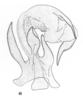 Aedeagus, dorsal view on [Oliarus] coconinus Ball, 1934: (Observation).