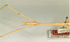 CollectionObject 1560909; 01632223-ea05-45f9-9d65-fc653ff1f64d: copyright NHRS, Stockholm. female: head and thorax, lateral view (holotype). (CollectionObject).