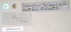 CollectionObject 1560498; 9f6255ae-b881-457f-b808-5bda1a544370, NHMUK(SF IMPORT DUPLICATE) 845029-845030: copyright Natural History Museum, London. female, data labels [round label reversed] (syntype). (CollectionObject).