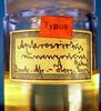 CollectionObject 1500379; 9fcdea08-b57b-4443-b1d2-b825b3071388: specimen vial (holotype). (CollectionObject).