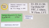 CollectionObject 1561579; NHMUK(SF IMPORT DUPLICATE) 845195, be85c41d-cf20-450b-8b0f-339db35b138a: copyright Natural History Museum, London. male, data labels (paratype). (CollectionObject).
