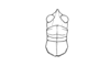 Zygoclistron superbum Rehn, 1907: Fig. 67. male head and pronotum, dorsal view. (Otu).