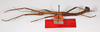 CollectionObject 1562383; bb24c673-e74e-40ee-93c7-fcfeacd4cacc: copyright ZMB, Berlin. male, lateral view (syntype). (CollectionObject).;CollectionObject 1562384; d3ae3f62-92cf-49f3-89af-34838899ffec: copyright ZMB, Berlin. male, lateral view (syntype). (CollectionObject).