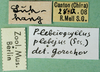 CollectionObject 1502225; 76dad2bf-6ae6-433a-a675-afd76efdc0ca: labels. (CollectionObject).