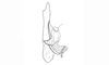 Baeacris maquiritare (Carbonell & Ronderos, 1973): Fig. 44. female, spermatheca, basal valves. (Otu).