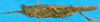 CollectionObject 1568310; 4266e172-687e-4251-8e18-3543d365ede4: female, lateral view. (CollectionObject).