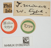 CollectionObject 1517906; 247f9ff2-fd3a-4221-b23e-98319edee4b0, NHMUK10924425: labels (holotype). (CollectionObject).