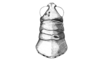 Dichromatos schrottkyi (Rehn, 1918): Fig. 6N. female head and pronotum, dorsal view. (Otu).