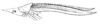 Gryporhynchium acutipennis (Redtenbacher, 1891): Pl. III. Fig. 9. head, pronotum and tegmina, lateral view (probably female). (Otu).
