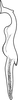 Stylus on Arboridia (Arboridia) koreana Oh & Jung, 2015 now Arboridia (Arboridia) agrillacea (Anufriev, 1969): Stylus. (Observation).