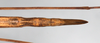 CollectionObject 1562689; 3bbbe859-9664-4566-ad6e-06c649b7a7b9: copyright QM. female: end of abdomen, dorsal view (holotype). (CollectionObject).