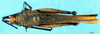 CollectionObject 1581431; 0681d02d-347a-4b32-8d4c-604db760a8d3: female, dorsal view (paratype). (CollectionObject).