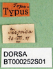 labels. Depicts CollectionObject 1502450; 6879cd91-1e91-4382-b430-9dfe69cda06d, a CollectionObject.