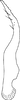 Stylus on Distantasca paraterminalis (Qin & Zhang, 2007): Stylus (holotype). (Observation).