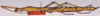 CollectionObject 1563678; ae18d031-bce9-4254-891a-b041b2468bf8: copyright SMNS. female (holotype). (CollectionObject).
