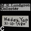 CollectionObject 1584517; CAS(SF IMPORT DUPLICATE) CASTYPE #19438, 166d15c9-ae1f-4071-97ec-8d0cbcb8ee80: copyright CAS, San Francisco. female, data labels (holotype). (CollectionObject).