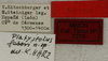 CollectionObject 1506655; 85b9193e-be9a-4e5c-8001-4f91478bdb1f: labels (paratype). (CollectionObject).