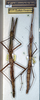 CollectionObject 1562373; NMW 16, 4abc7fb9-b4d2-40ae-8a6e-3c13aec0037d: copyright NMW. female (syntypes). (CollectionObject).