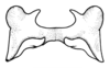 Scotussa daguerrei Liebermann, 1947: Fig. 104. epiphallus, dorsal view. (Otu).