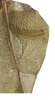 CollectionObject 1529743; NHRS NRM-ORTH0009197, 49682db8-3297-4dbf-8e63-9bbe870ab061: male, left tegmen, stridulatory area in detail, dorsal view (holotype). (CollectionObject).
