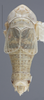 Habitus, dorsal view on Athysanella (Gladionura) andyi Blocker & Johnson, 1990: Dorsal. (Observation).