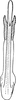 Aedeagus, ventral view: Aedeagus, ventral view. (Observation).
