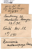 labels. Depicts CollectionObject 1501755; 467193f8-e61f-42b1-a2c5-86475d07fa7a, DORSA BTzeumelF02, a CollectionObject.