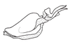 Digamacris amoena (Stål, 1878): Fig. 20. endophallus, lateral view. (Otu).
