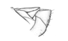 Propedies microsanguineus Cigliano & Lange, 1998: Fig. 1E. Distal abdominal segment, male (lateral view). (Otu).