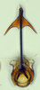 Aedeagus, ventral view: (Observation).